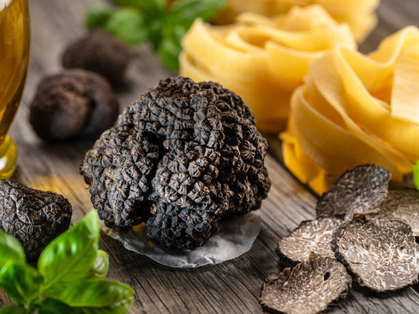 Les truffes de Sarlat en Dordogne